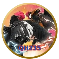 QH235